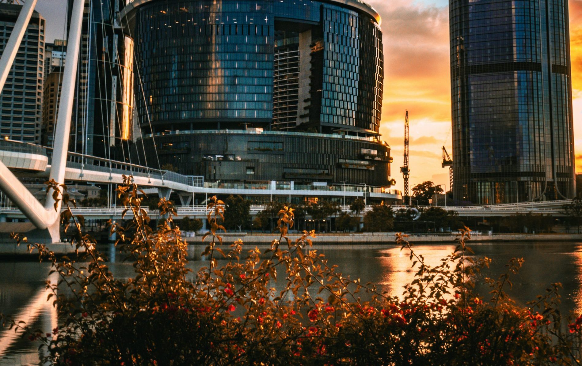 https://www.moretonpartners.com.au/wp-content/uploads/2025/09/samantha-gilmore-kPcyj0sD1Gw-unsplash-scaled-e1757301129513.jpg